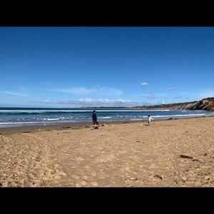 Meet your Posher, Vi